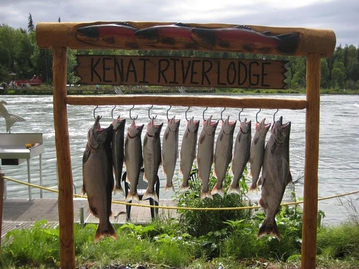 Kenai River Lodge ซอลดอทนา ภายนอก รูปภาพ